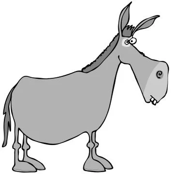 Gray donkey Stock Illustration