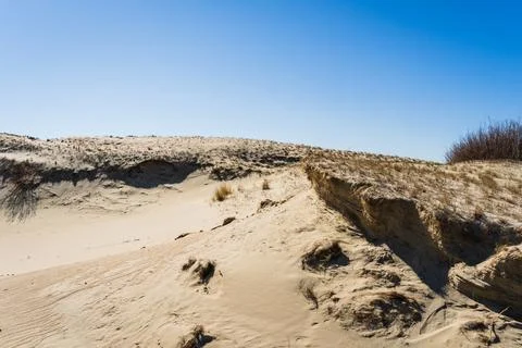The Gray Dunes, or the Dead Dunes is sandy hills with a bit of green specks.. Stock Photos