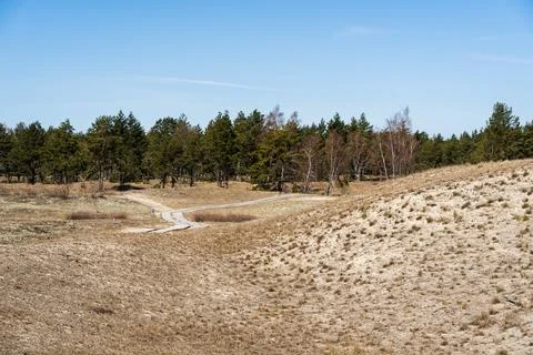 The Gray Dunes, or the Dead Dunes is sandy hills with a bit of green specks a Stock Photos