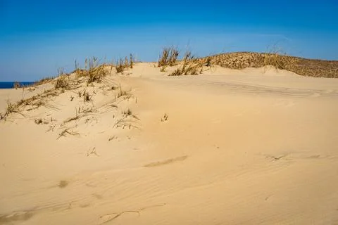 The Gray Dunes, or the Dead Dunes is sandy hills with a bit of green specks a Stock Photos