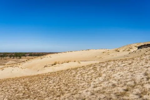 The Gray Dunes, or the Dead Dunes is sandy hills with a bit of green specks at Stock Photos