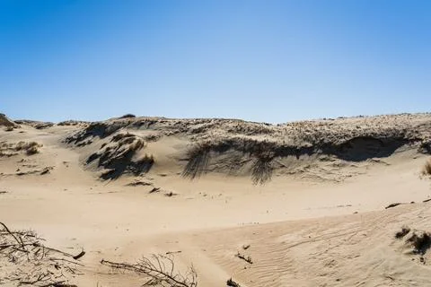 The Gray Dunes, or the Dead Dunes is sandy hills with a bit of green specks at Stock Photos