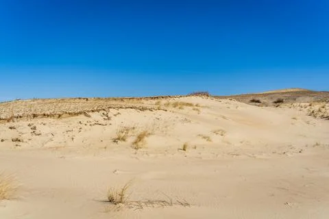 The Gray Dunes, or the Dead Dunes is sandy hills with a bit of green specks at Stock Photos
