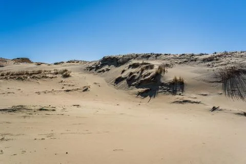 The Gray Dunes, or the Dead Dunes is sandy hills with a bit of green specks at Stock Photos