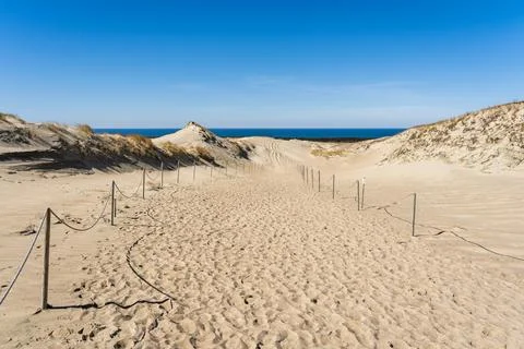 The Gray Dunes, or the Dead Dunes is sandy hills with a bit of green specks at Stock Photos