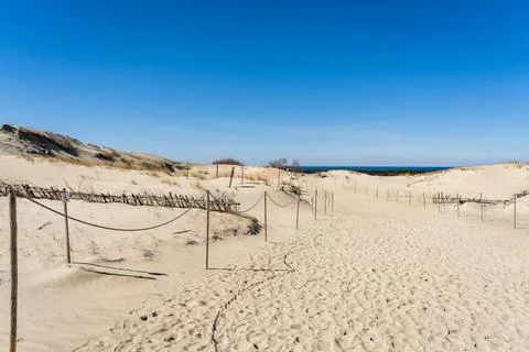 The Gray Dunes, or the Dead Dunes is sandy hills with a bit of green specks at Stock Photos