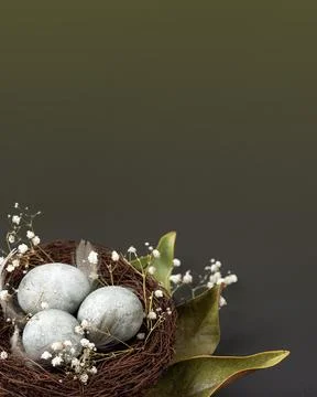 Gray Easter eggs Stock Photos