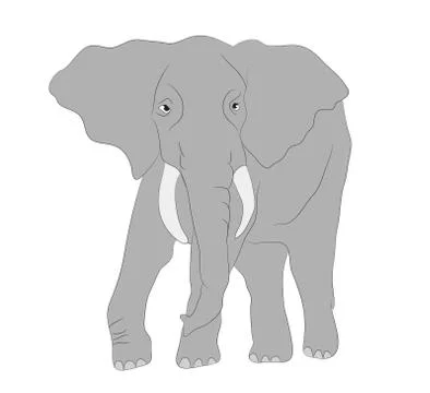 Gray elephant walks vector, white background Illustrazione stock
