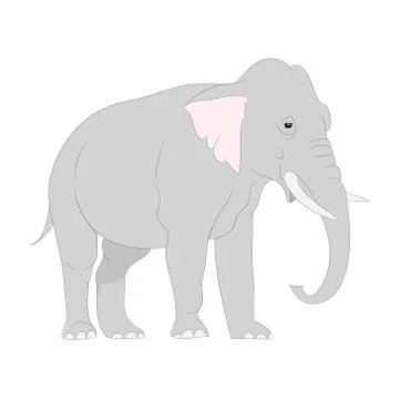 Gray elephant walks vector, white background Stock Illustration