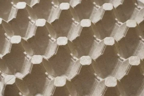 Gray, empty, cardboard tray for eggs Stock Photos