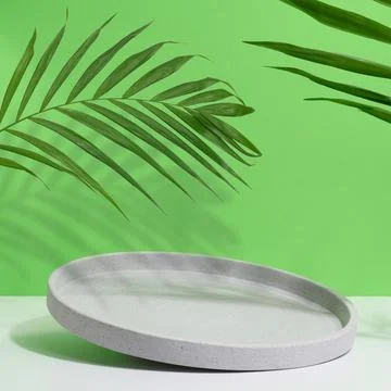 Gray empty decorative plate and green palm leaf on a green background, prod.. Stock Photos