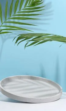 Gray empty decorative plate and glass vase with green palm leaf on blue bac.. Stock Photos