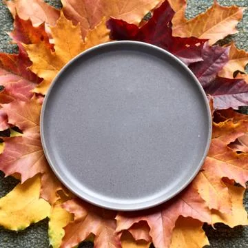 Gray empty plate and autumn leaves under it on a green knitted plaid. Copy space Stock Photos