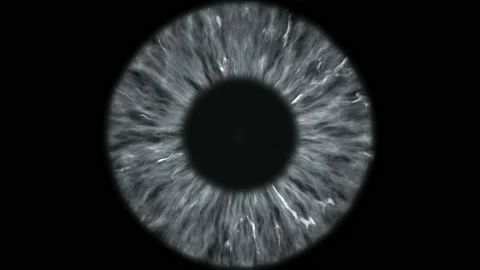 The gray eye is an extreme close-up of the iris and pupil Stock Footage 106746407