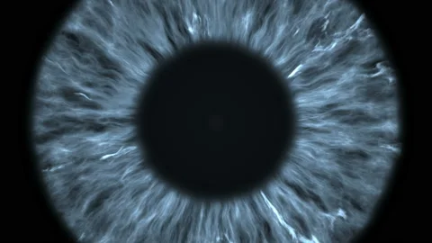 The gray eye is an extreme close-up of the iris and pupil Video stock 106746414