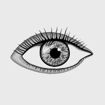 Gray eyes Stock Illustration