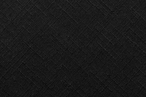 Gray fabric. Material for tailoring. Pattern with straight small dark lines Foto stock