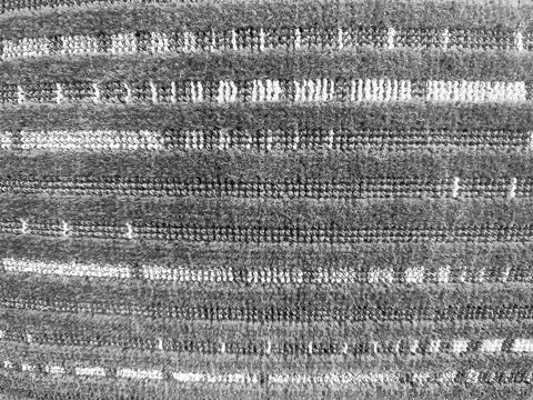 Gray fabric texture macro with woven thread pattern 库存照片