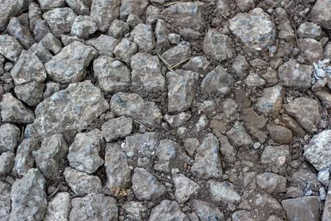 Gray fine texture, stone background. gravel pebble stone light background from Stock Photos