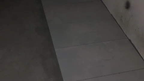 Gray floor tiles installed along unfinished concrete wall Stock Footage 343691332