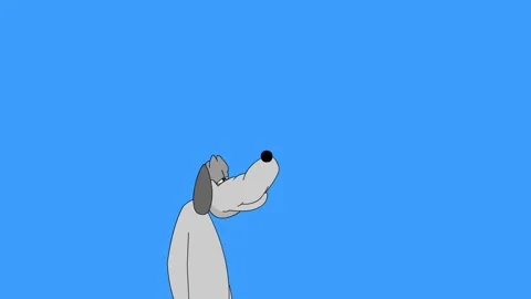 Gray fluffy dog talking about something Stock Footage 242743589