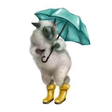 Gray fluffy sheep with blue umbrellas in yellow rubber boots. Autumn weather. A Illustrazione stock