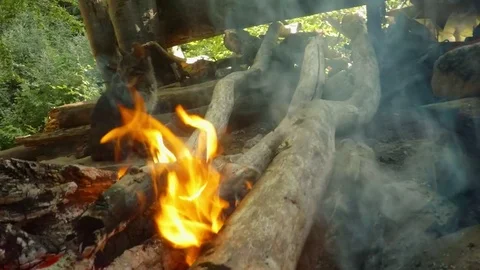 Gray forest wild kitten behind the tongues of flame in a hike by nature Stock Footage 81704330
