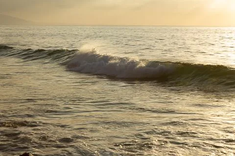 Gray forming wave with backspray and foam against ocean expanse Stock Photos