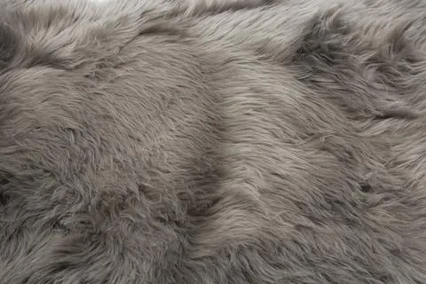 Gray fur texture as a background for designers. Gray faux fur with long hairs Stock Photos