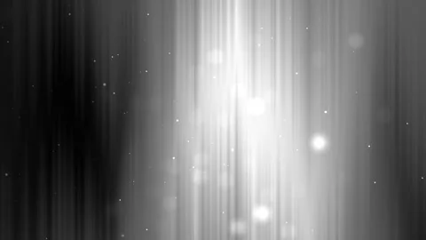 Gray Gradient Stock-Footage 313194194