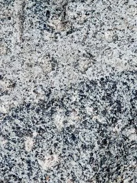 Gray Granite Stone Texture with Black and White Minerals 写真素材