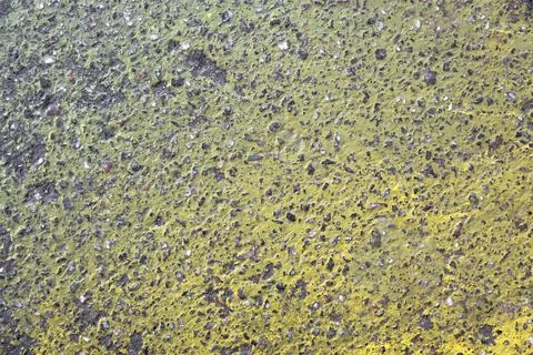 Gray granular asphalt with a bright gradient of yellow paint. rough surface t Foto stock