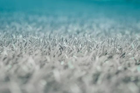Gray grass. background texture. fresh spring Gray grass. fluffy blanket. Stock-Fotos
