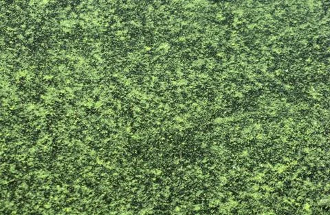 Gray-green background Stock Photos