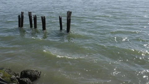 Gray green brown waves ripple and rock against rotting old river pier pyles Stock Footage 242306861