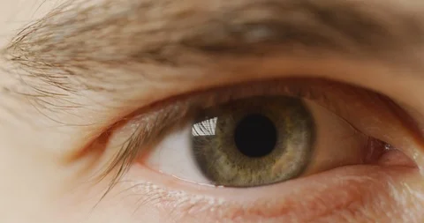 Gray-green eye Stock Footage 99745018