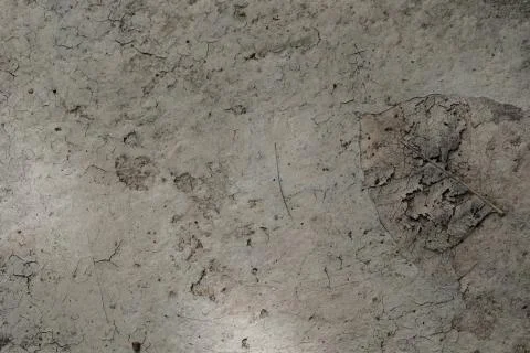 Gray ground with leaves Stock Photos