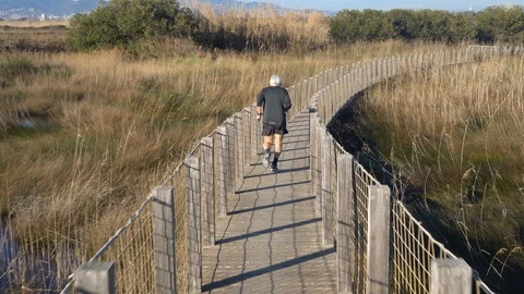 Gray-haired elderly man runs on a suspension bridge over a swamp on a sunny day Stockbeeldmateriaal 124173262