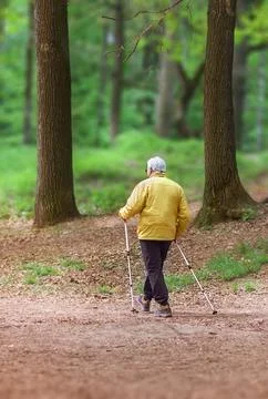 A gray-haired elderly man walks through a forest park, leaning on Scandinav.. Stock-Fotos