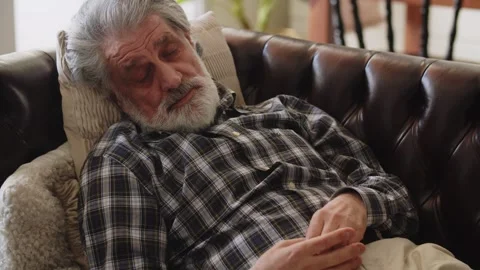 A gray-haired man fell asleep on the couch, holding a book in his hands. His Stock Footage 244118958