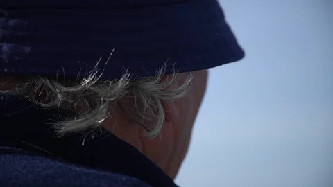 A gray-haired man looks into the distance view from behind Stock-Footage 105205566