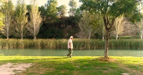 Gray-haired old man walks river bank in autumn sunset Stock Footage 124384635