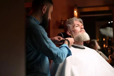 A gray-haired respectable man gets a beard trimming service Foto stock