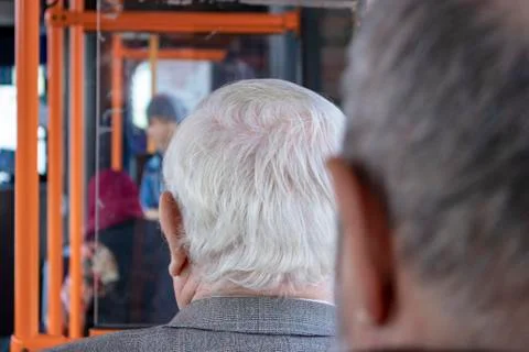 Gray head. Stock Photos