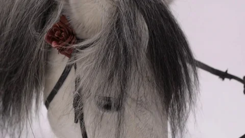 Gray Horse in winter Forest Stock Footage 70865297