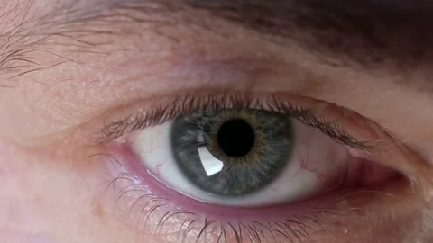 Gray human man eye looking at camera, close up. Stock Footage 78594898