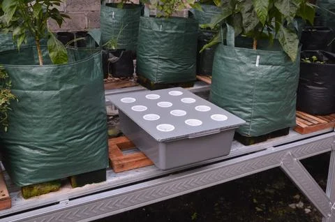 Gray Hydroponic Grow Box System on Steel Garden Plant Rack Stock Photos