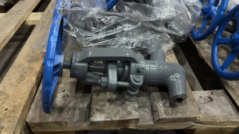 Gray industrial angle valve with blue handwheel and threaded outlet  스톡 동영상 347955126