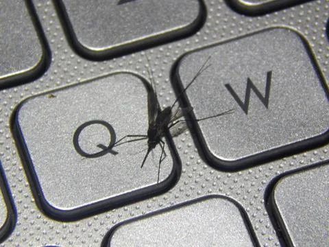 Gray keyboard Stock Photos