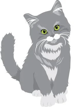 Gray Kitten Illustration Stock Illustration
